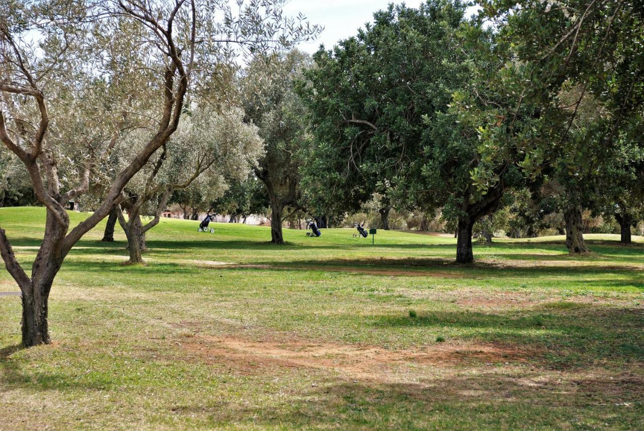 Chalet Adosado De Lujo Para 6 Personas En Golf Panoramica - Internet Fibra Gratis San Jorge  Eksteriør billede